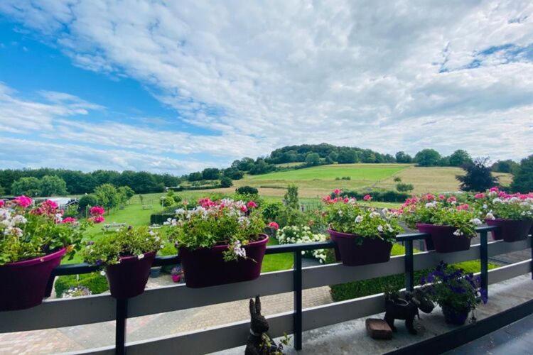 Panorama Sousberg Appartementen Schin op Geul Exteriör bild